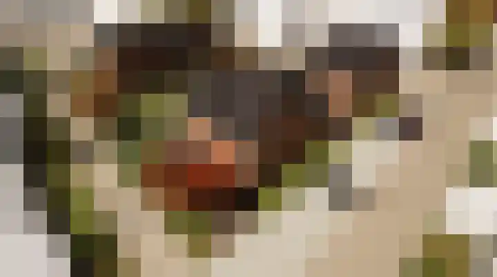 De Twaalfmaat 4 Uitgeest thumbnail 40
