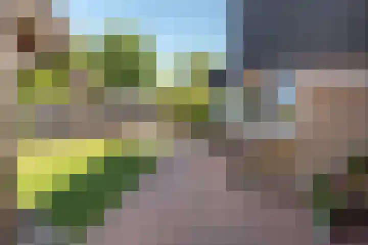 De Twee Gebroeders 10 Drachten thumbnail 37