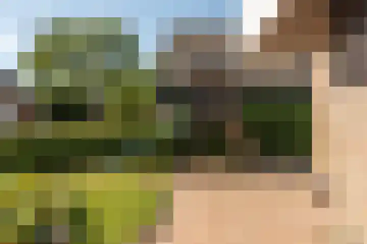 De Twee Gebroeders 10 Drachten thumbnail 38