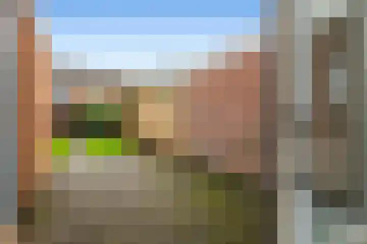 De Twee Gebroeders 100 a Drachten thumbnail 26