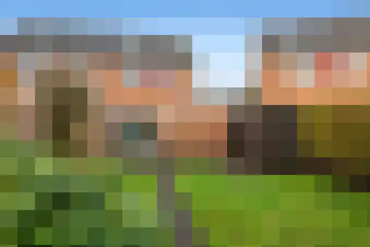 De Twee Gebroeders 100 a Drachten thumbnail 28