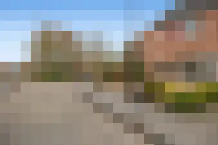 De Twee Gebroeders 100 a Drachten thumbnail 32