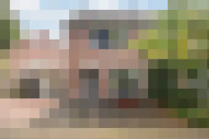 De Twee Gebroeders 104 a Drachten thumbnail 4