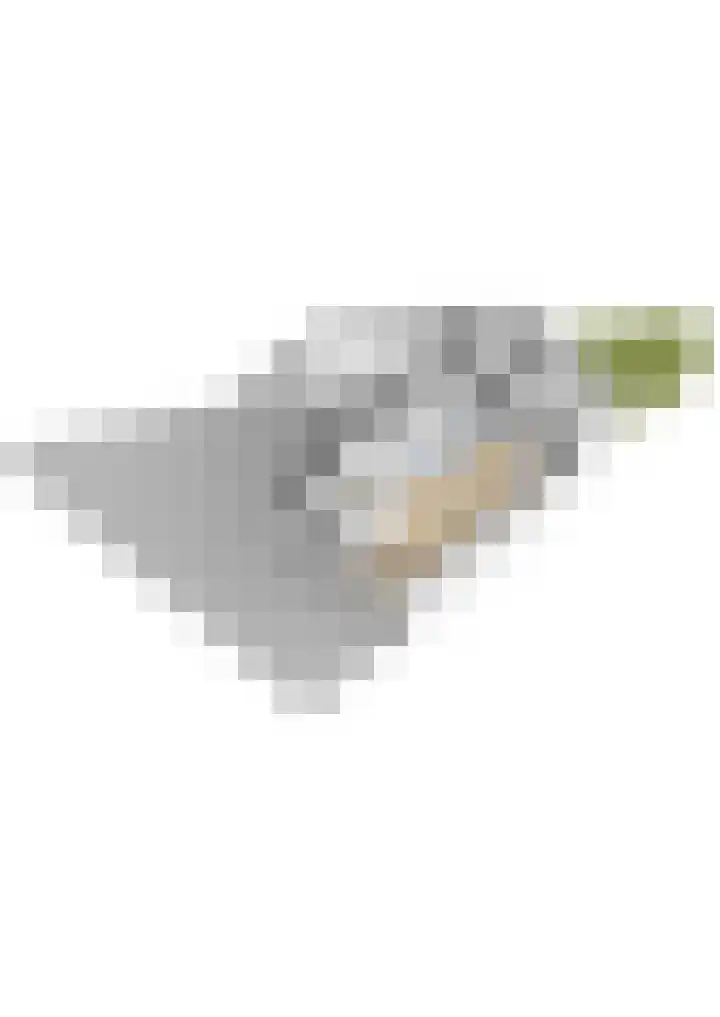 De Twee Gebroeders 104 a Drachten thumbnail 48