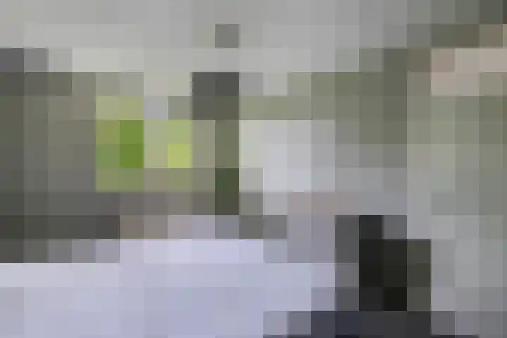 De Twee Gebroeders 108 Drachten thumbnail 21