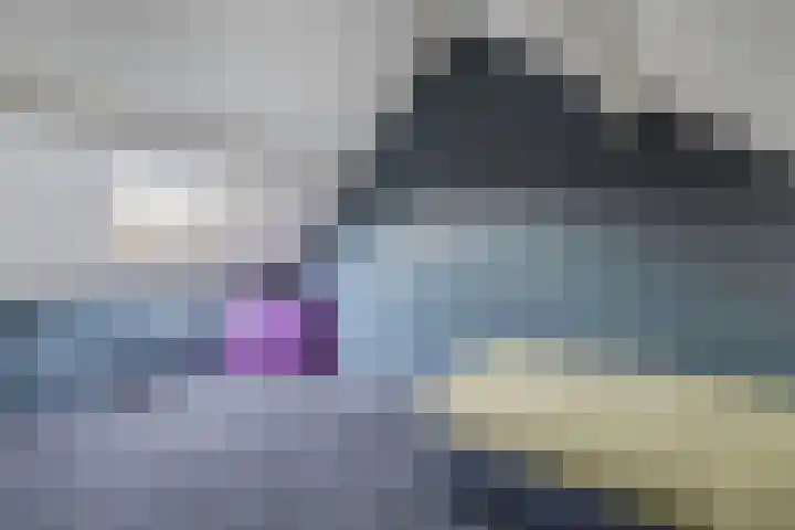 De Twee Gebroeders 108 Drachten thumbnail 31
