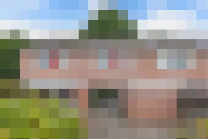 De Twee Gebroeders 108 Drachten thumbnail 33