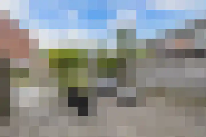 De Twee Gebroeders 108 Drachten thumbnail 36