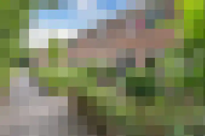 De Twee Gebroeders 108 Drachten thumbnail 4