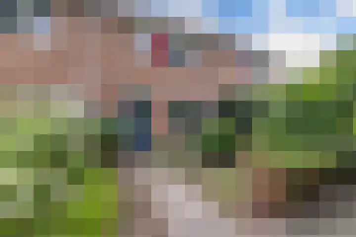 De Twee Gebroeders 108 Drachten thumbnail 45
