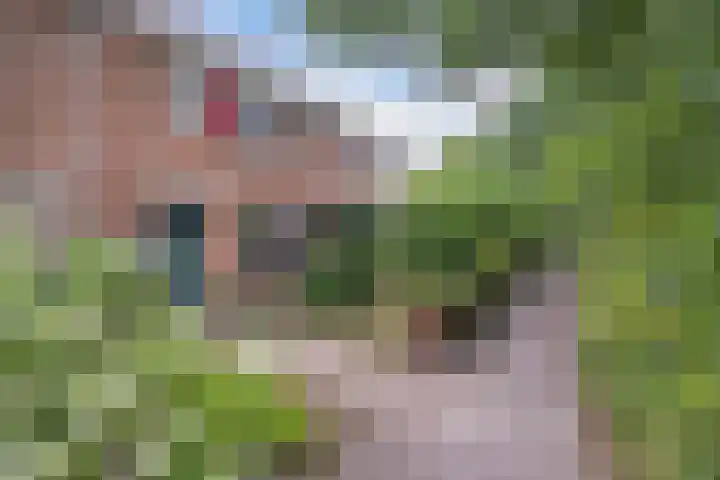 De Twee Gebroeders 108 Drachten thumbnail 5