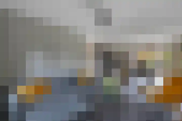 De Twee Gebroeders 108 Drachten thumbnail 9