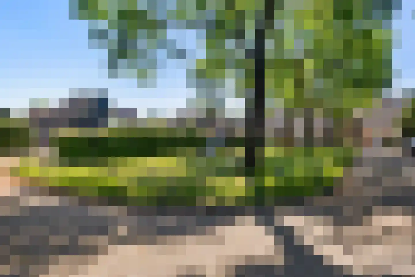 De Twee Gebroeders 110 Drachten thumbnail 38