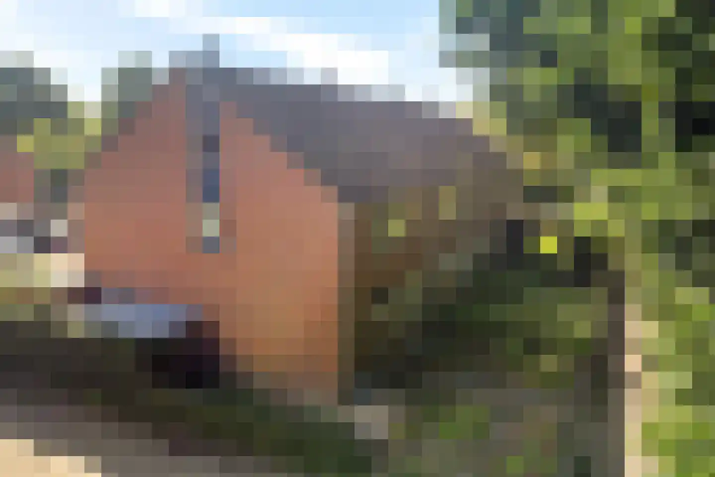 De Twee Gebroeders 110 Drachten thumbnail 43
