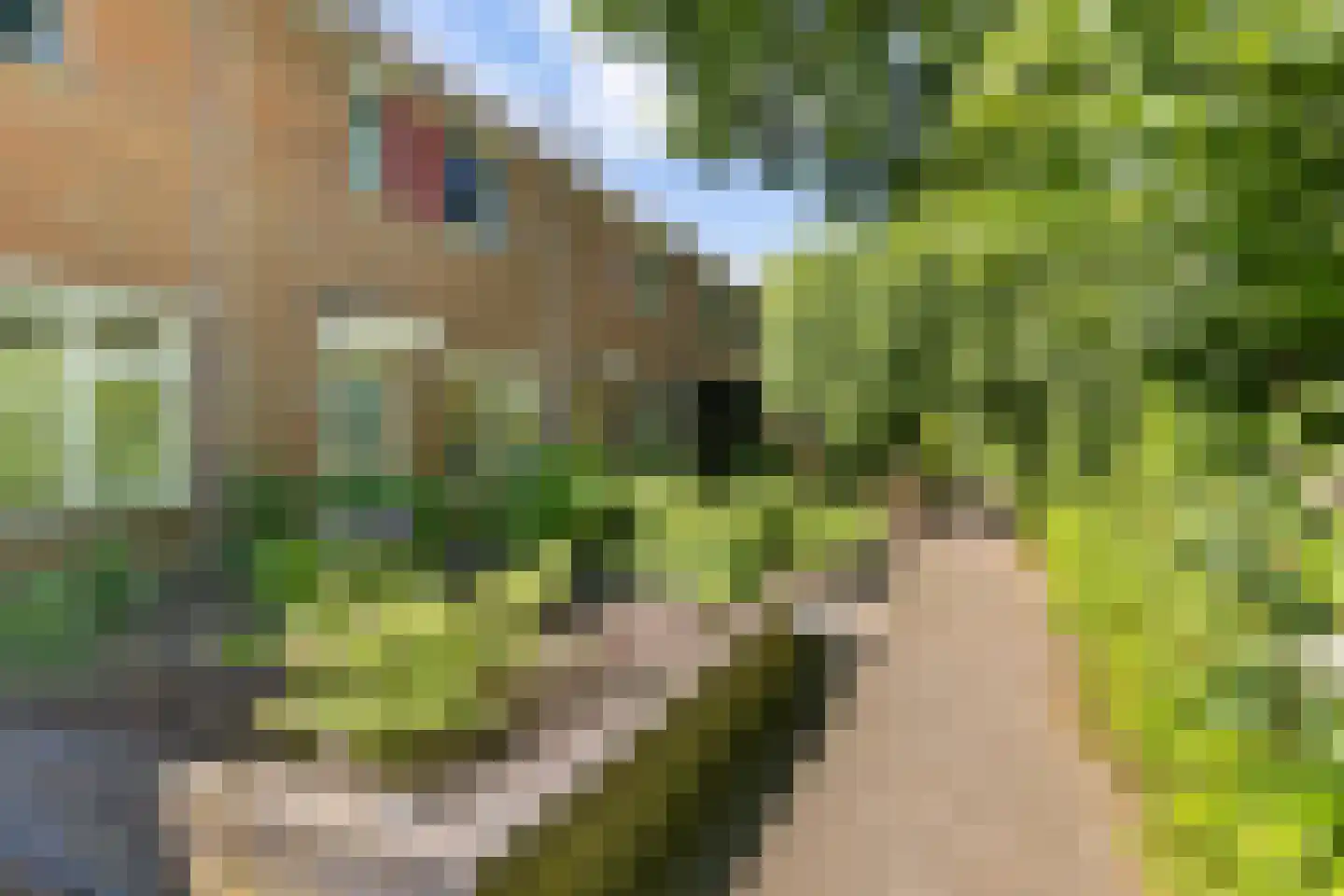 De Twee Gebroeders 110 Drachten thumbnail 7