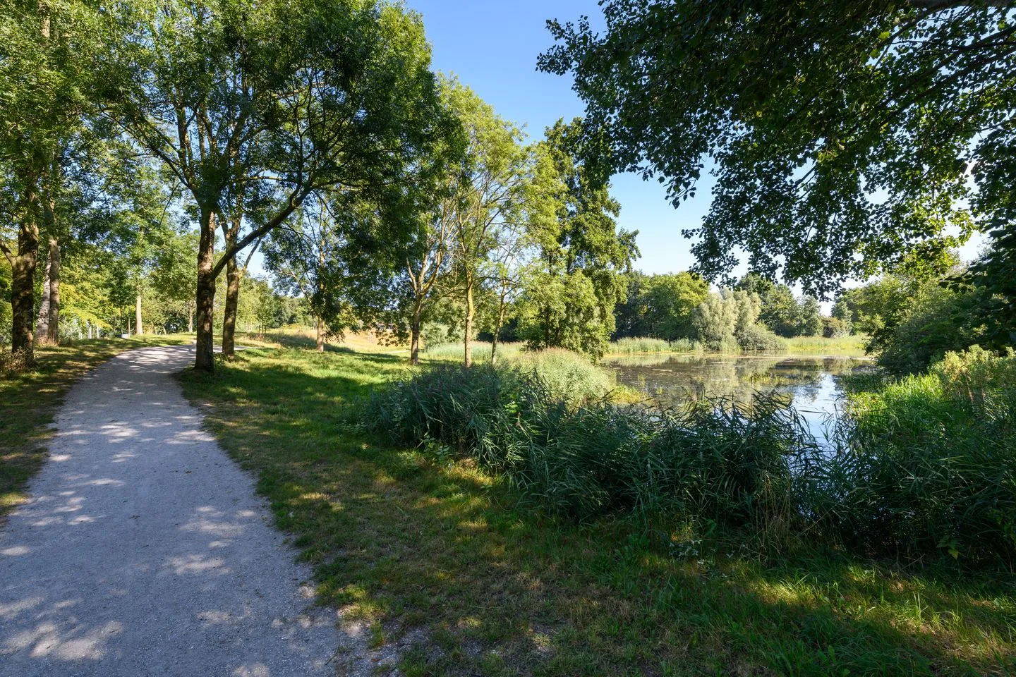 De Twee Gebroeders 205 Drachten thumbnail 25