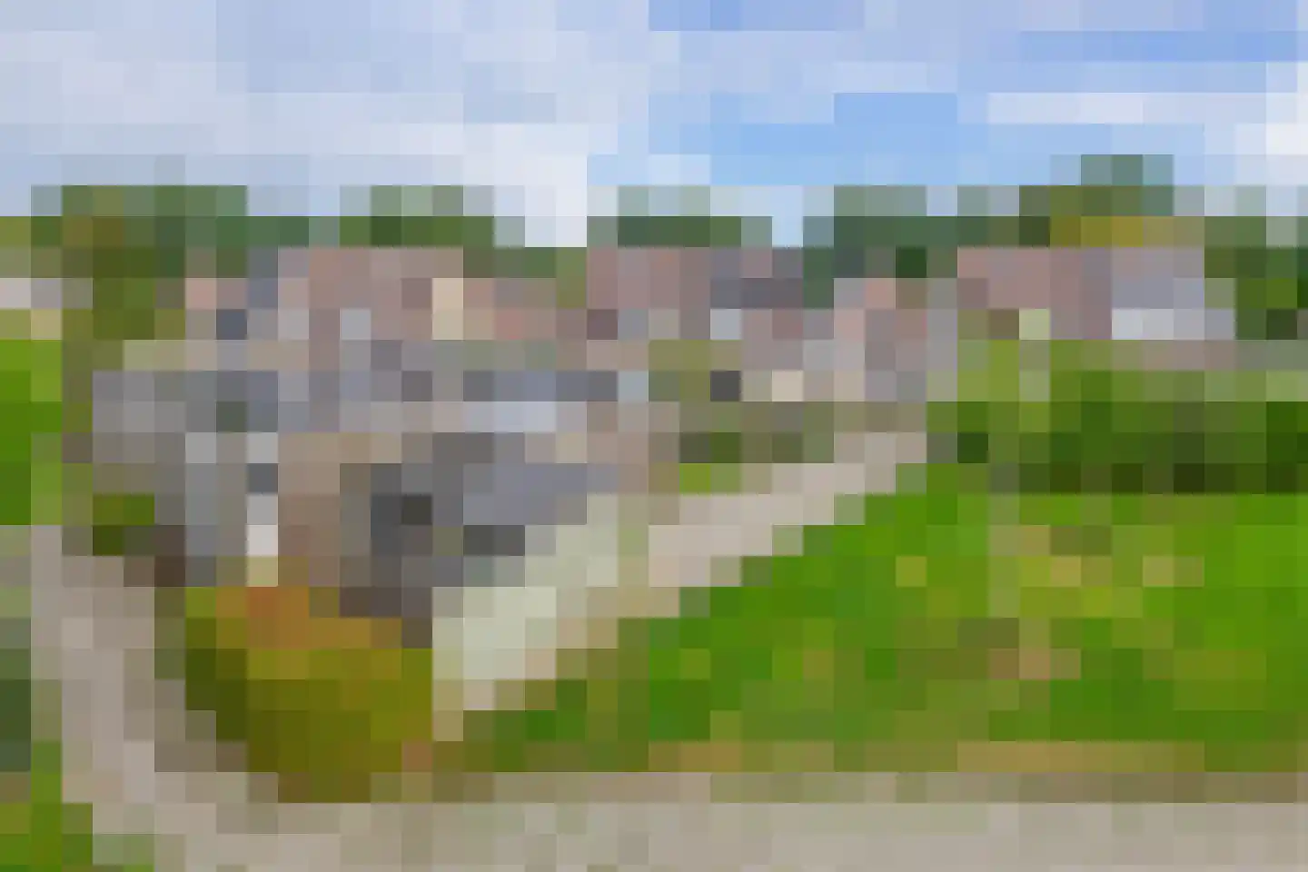 De Twee Gebroeders 251 Drachten thumbnail 24