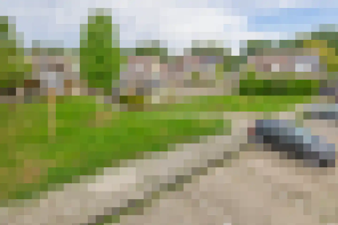 De Twee Gebroeders 251 Drachten thumbnail 30