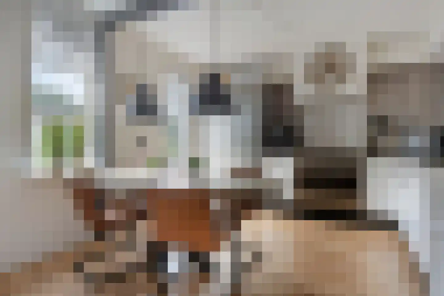 De Twee Gebroeders 261 Drachten thumbnail 13