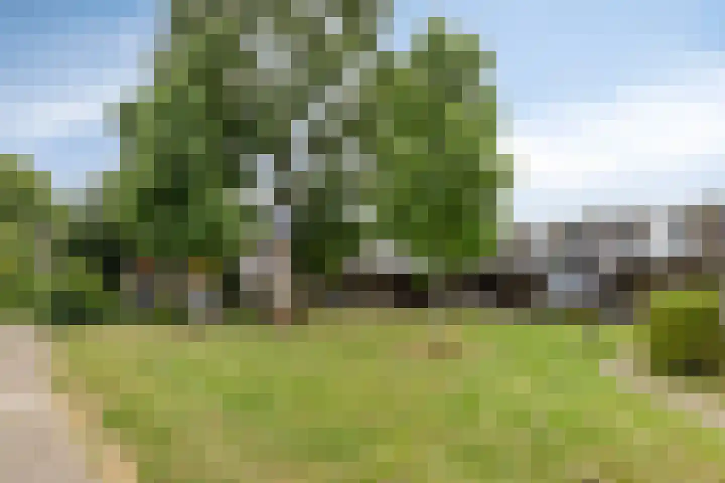 De Twee Gebroeders 261 Drachten thumbnail 25