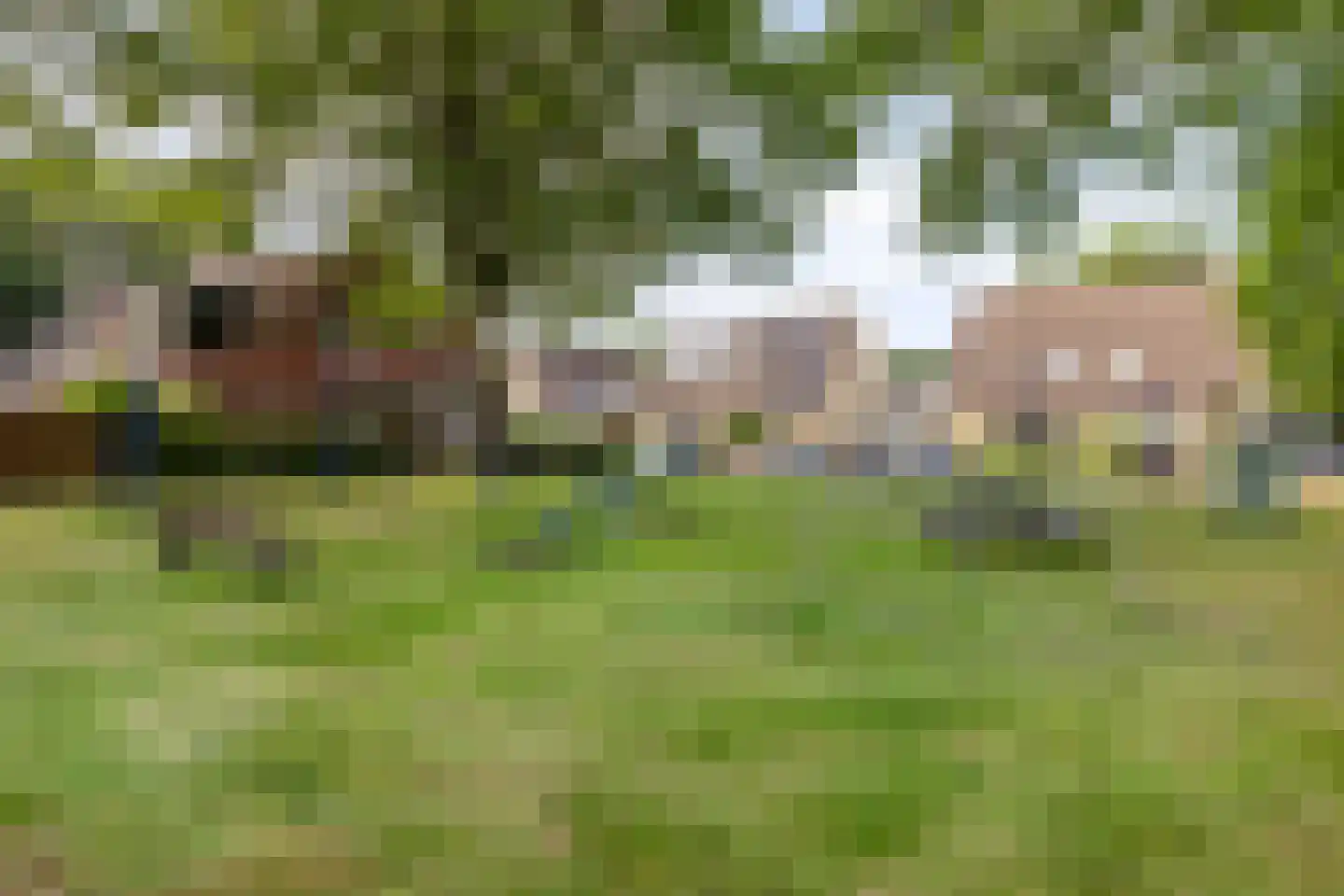 De Twee Gebroeders 261 Drachten thumbnail 27