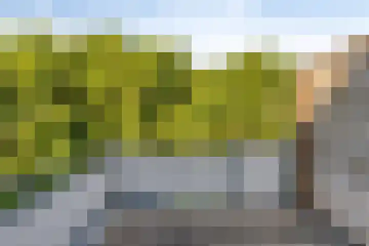 De Twee Gebroeders 263 Drachten thumbnail 23