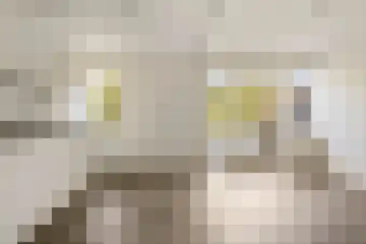 De Twee Gebroeders 263 Drachten thumbnail 8