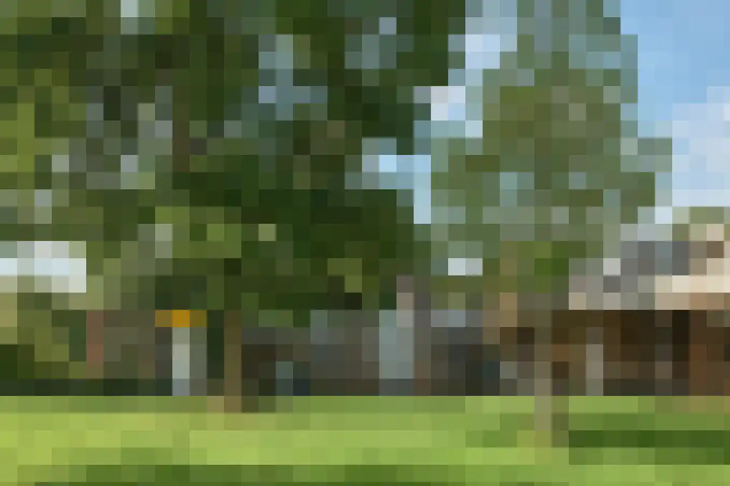 De Twee Gebroeders 275 Drachten thumbnail 18