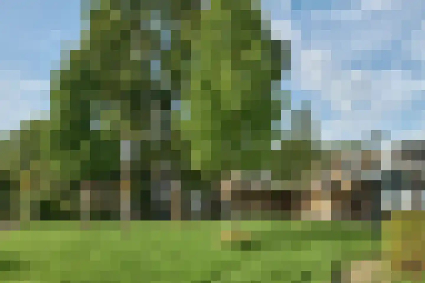 De Twee Gebroeders 275 Drachten thumbnail 20