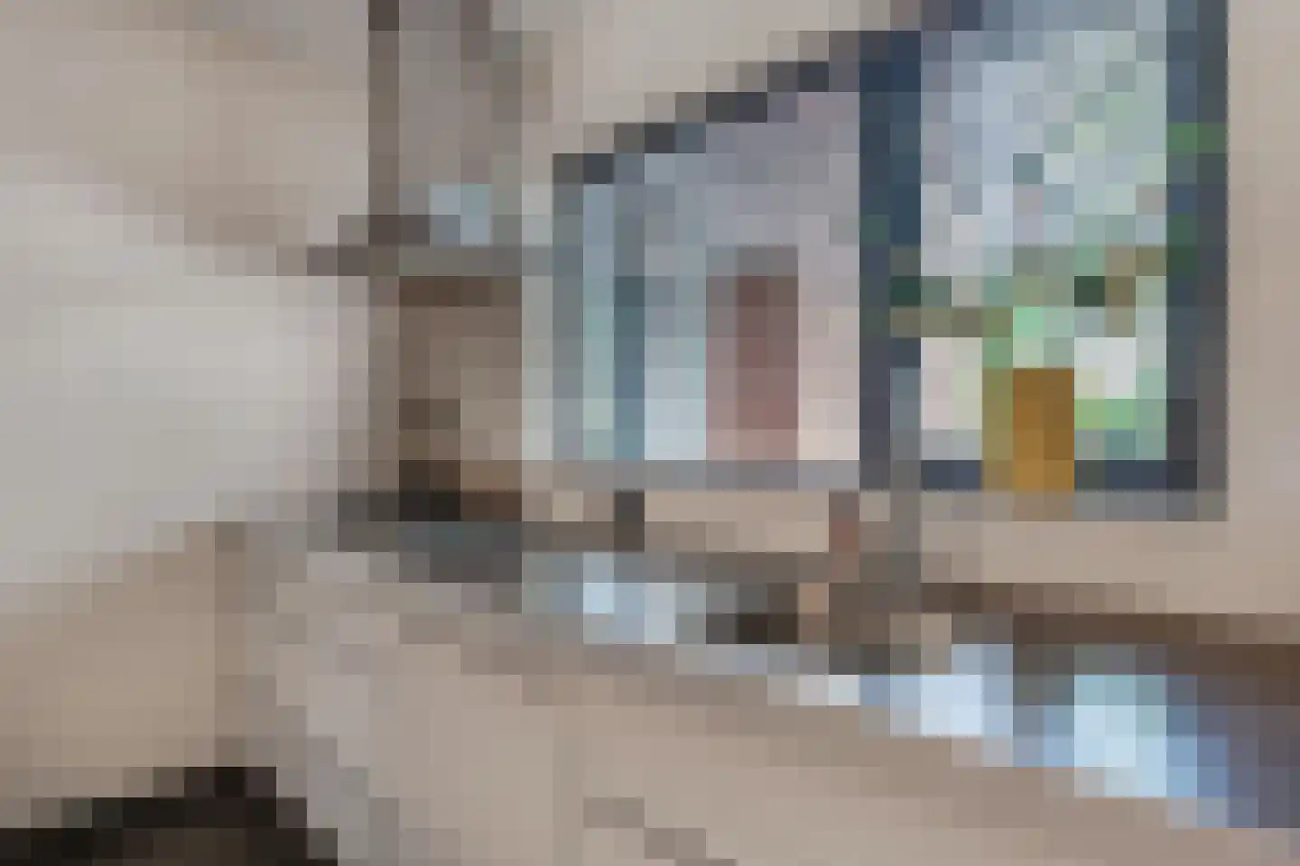 De Twee Gebroeders 32 Drachten thumbnail 18