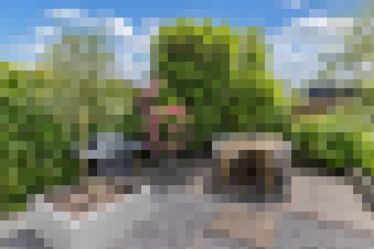 De Twee Gebroeders 32 Drachten thumbnail 35