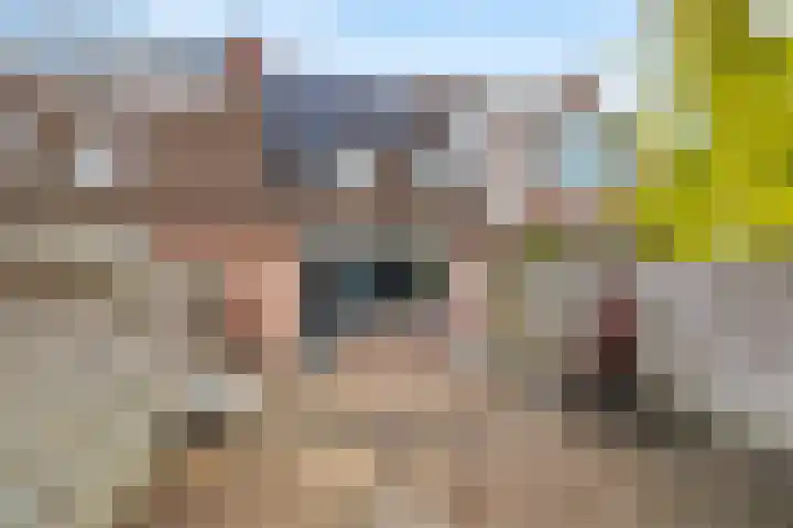 De Twee Gebroeders 321 Drachten thumbnail 31