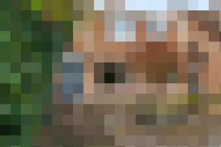 De Twee Gebroeders 321 Drachten thumbnail 6