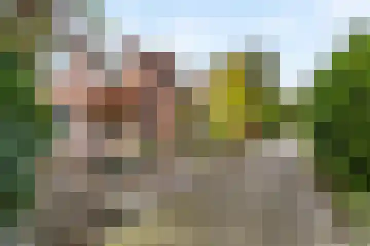 De Twee Gebroeders 321 Drachten thumbnail 8