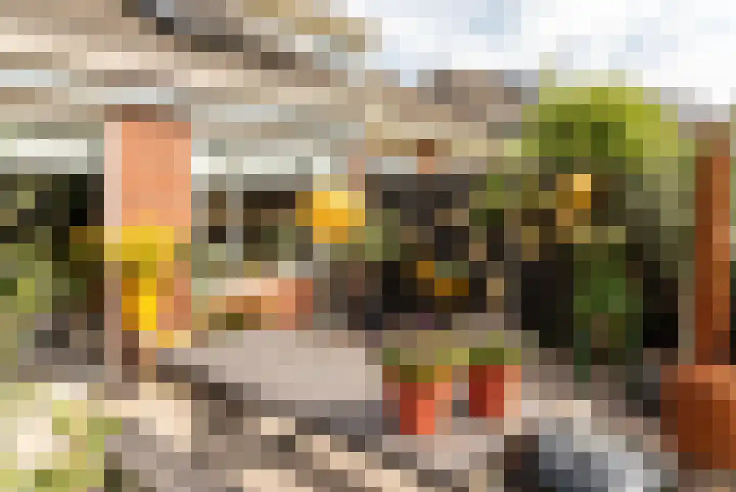 De Twee Gebroeders 36 Drachten thumbnail 12