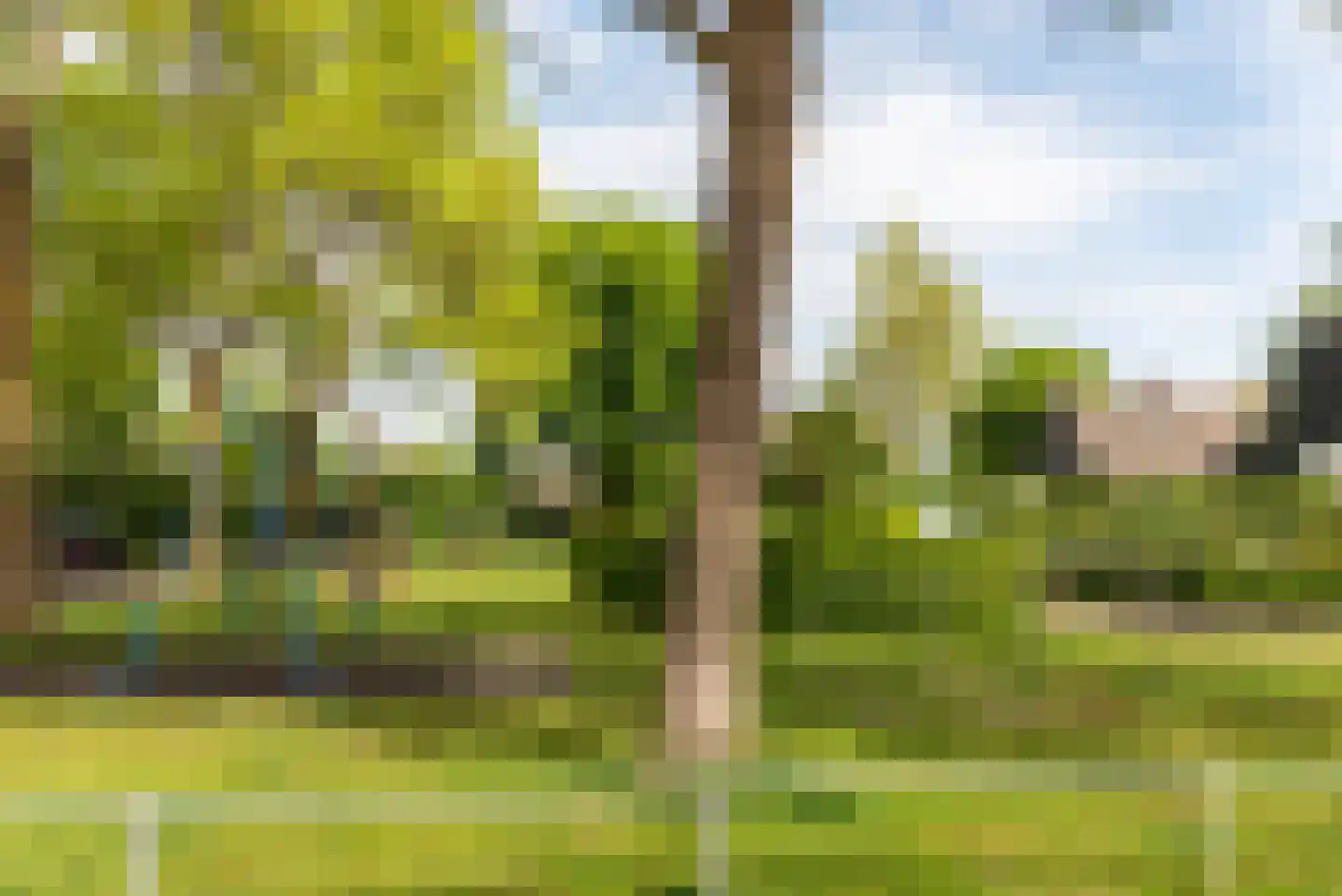 De Twee Gebroeders 36 Drachten thumbnail 13