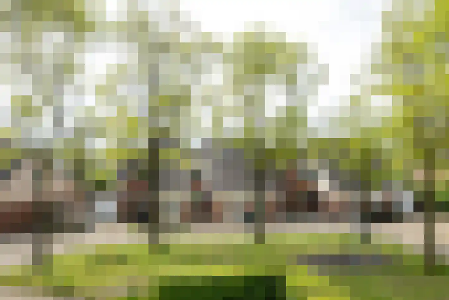 De Twee Gebroeders 36 Drachten thumbnail 6