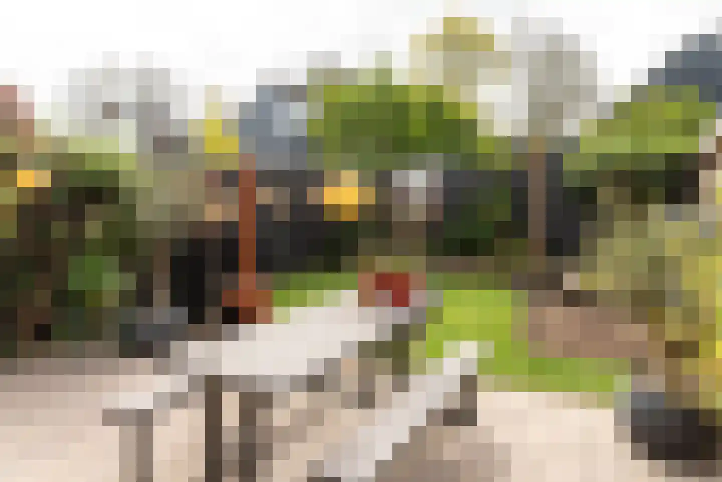 De Twee Gebroeders 36 Drachten thumbnail 8