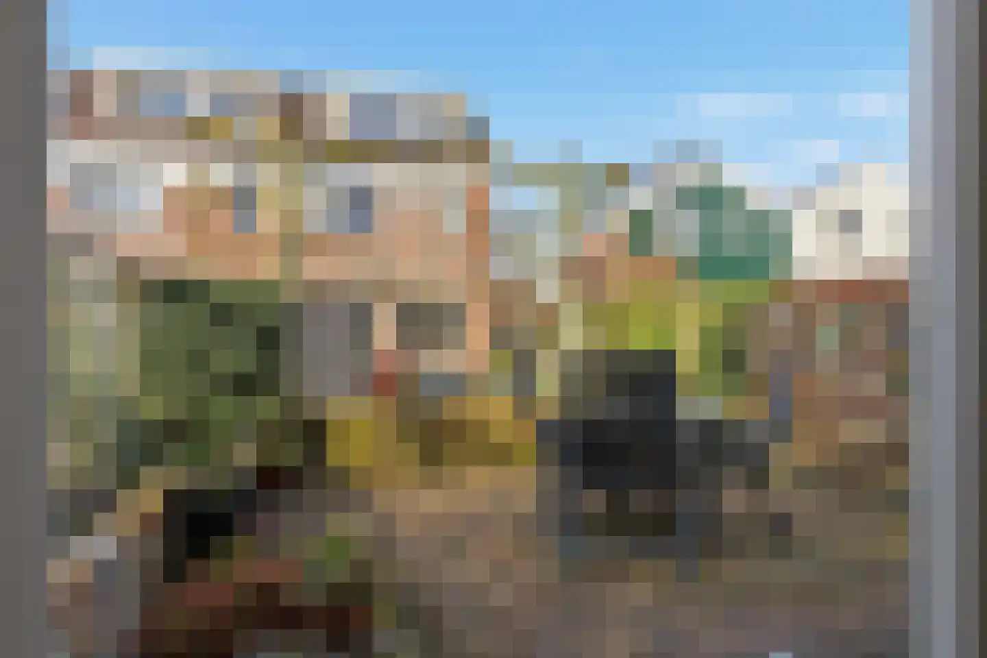 De Twee Gebroeders 37 Zaandam thumbnail 12