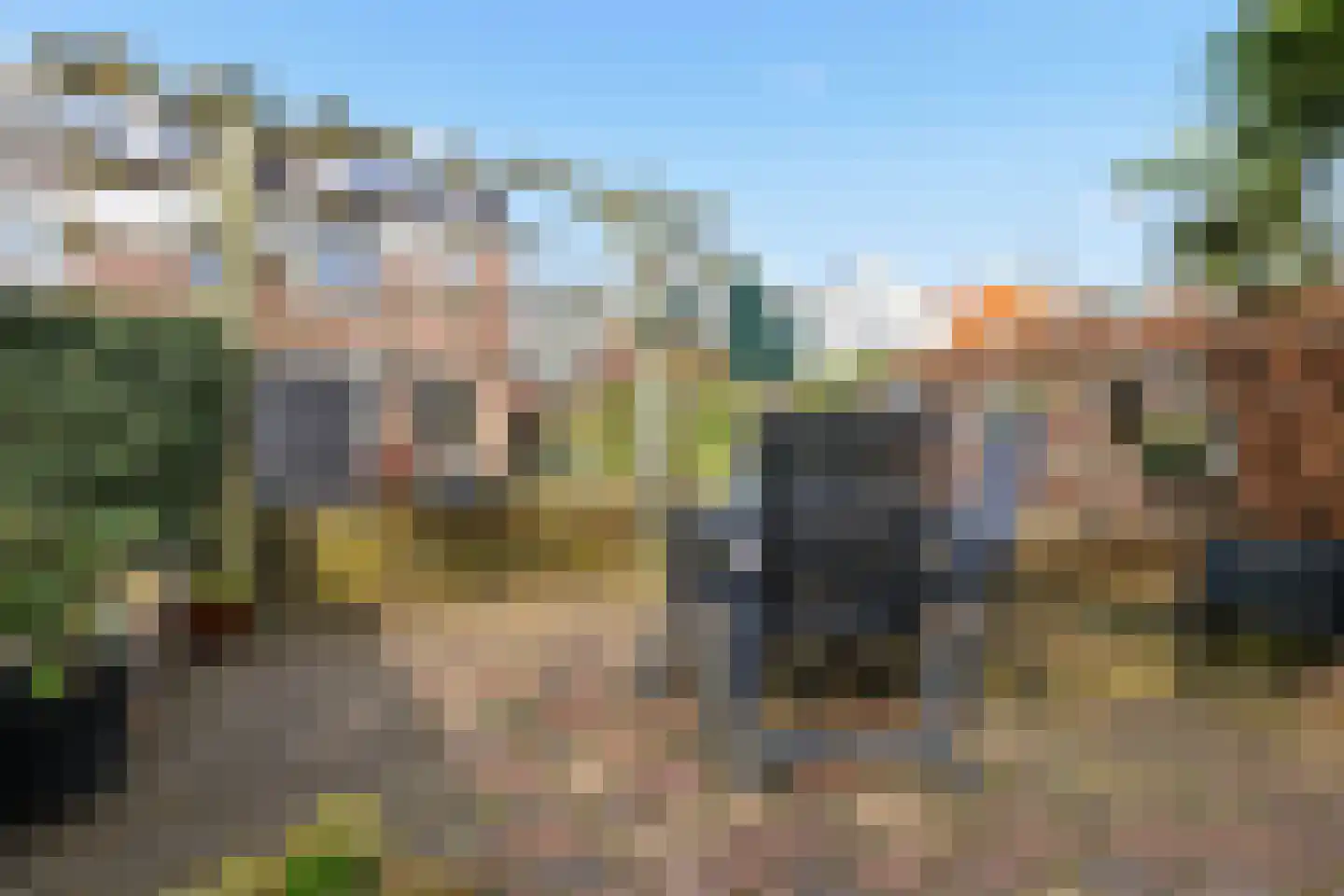 De Twee Gebroeders 37 Zaandam thumbnail 13