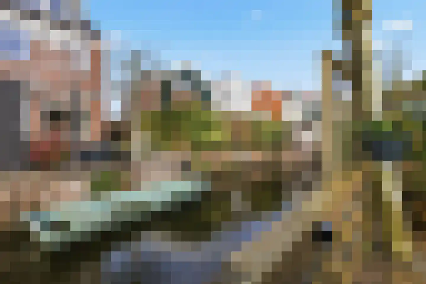 De Twee Gebroeders 37 Zaandam thumbnail 14