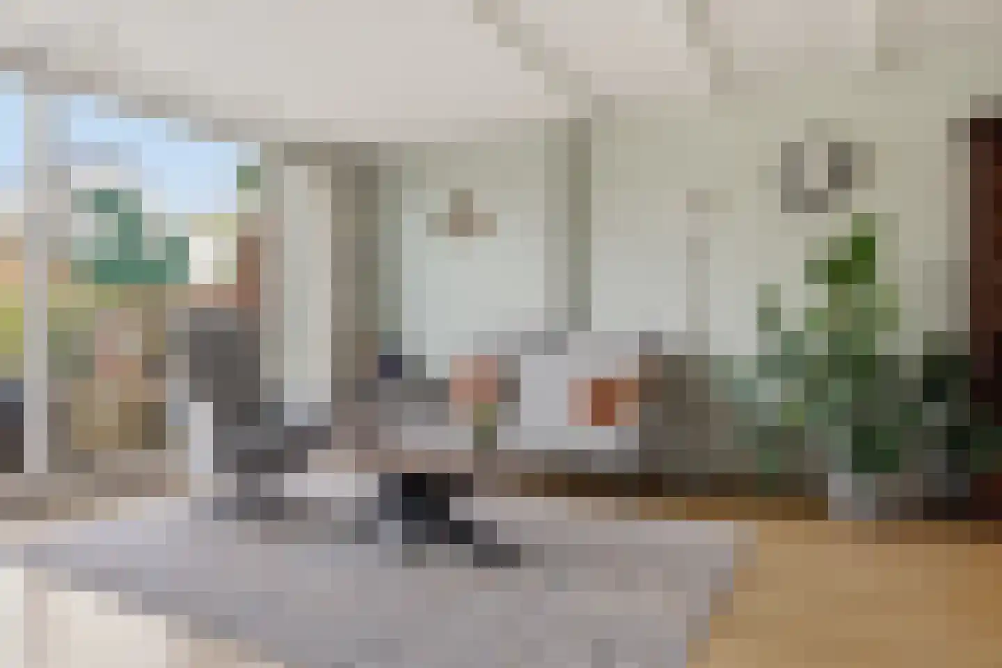 De Twee Gebroeders 37 Zaandam thumbnail 5