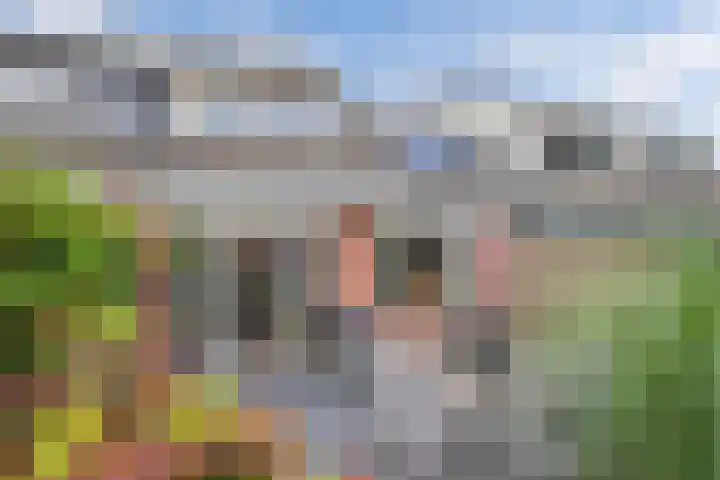 De Twee Gebroeders 46 Drachten thumbnail 43