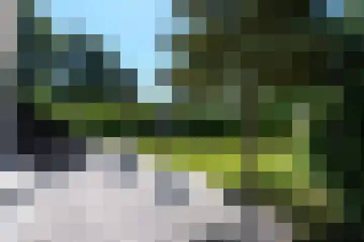 De Twee Gebroeders 52 Drachten thumbnail 42