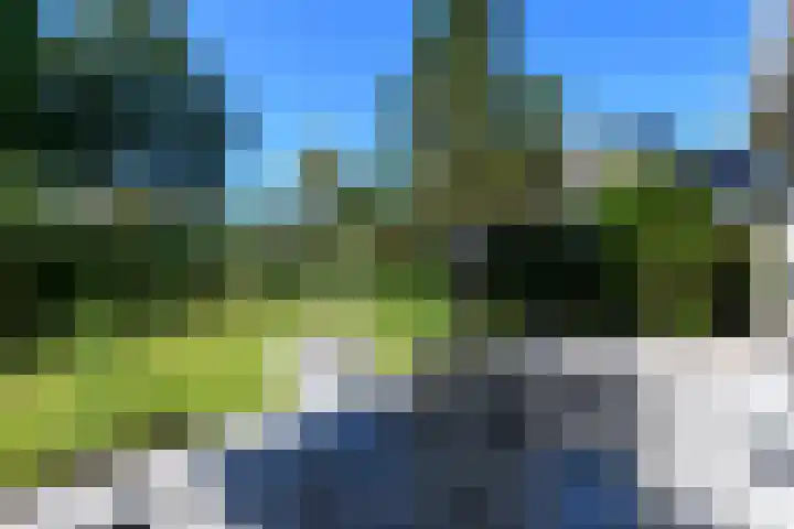 De Twee Gebroeders 52 Drachten thumbnail 43