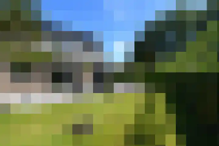 De Twee Gebroeders 52 Drachten thumbnail 5