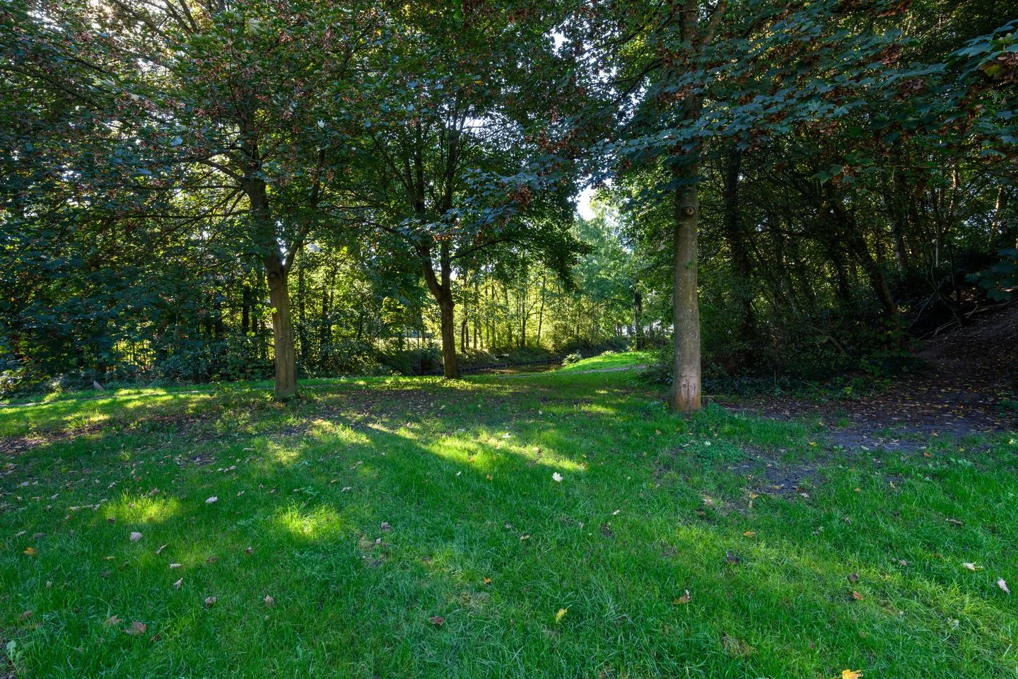 De Twee Gebroeders 85 Drachten thumbnail 31