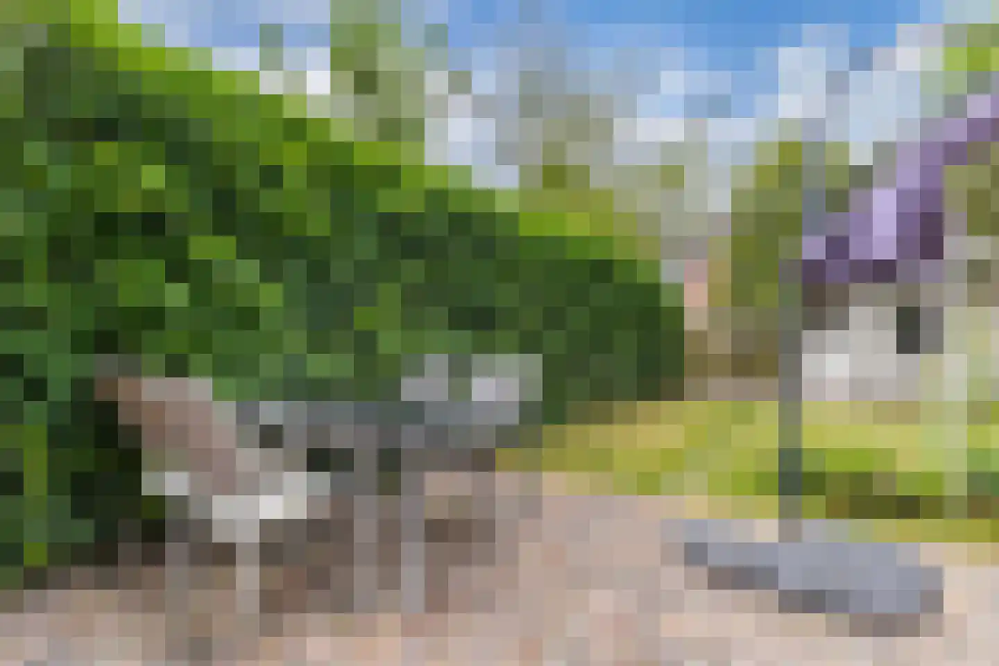 De Twee Gebroeders 86 Drachten thumbnail 35