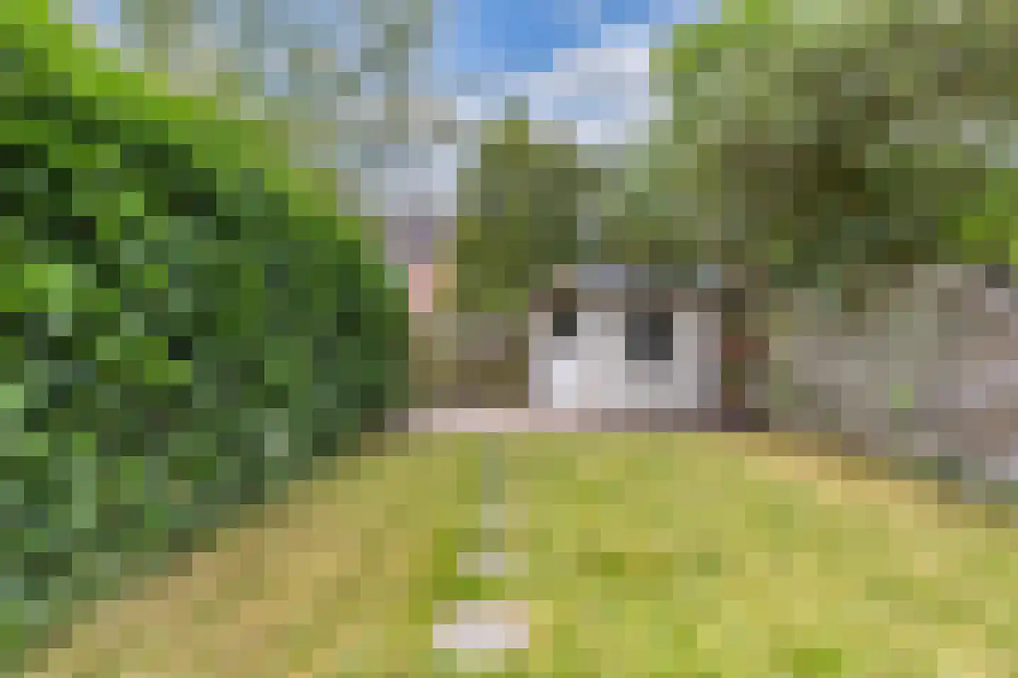 De Twee Gebroeders 86 Drachten thumbnail 36