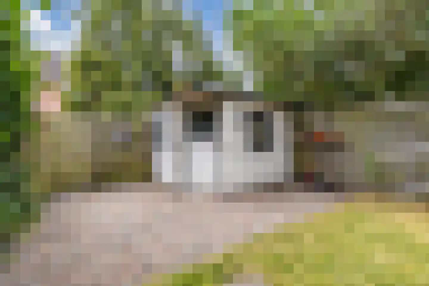 De Twee Gebroeders 86 Drachten thumbnail 37